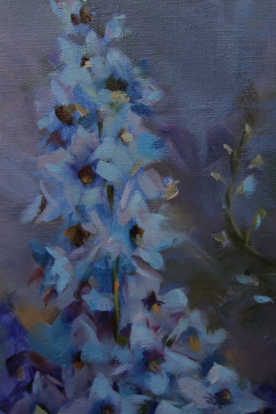 Kings of the sun. Delphiniums.