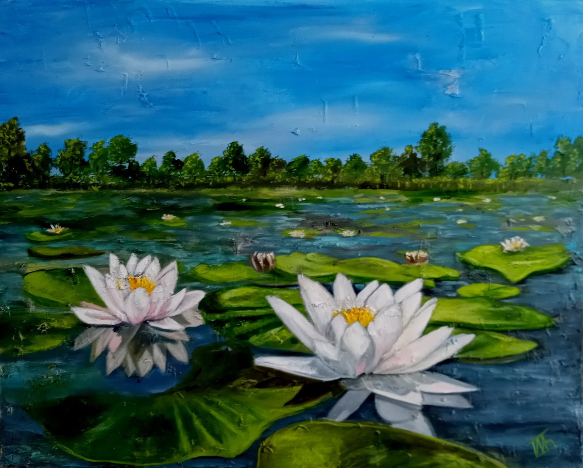 Water Lilies in Pond by Ira Whittaker