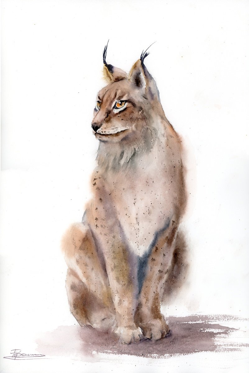 Expressive Animal Watercolour By Olga Tchefranov (Shefranov), 12 X 18", Lynx #2, Original Artwork