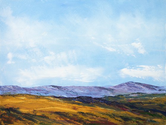 LANDSCAPE-55
