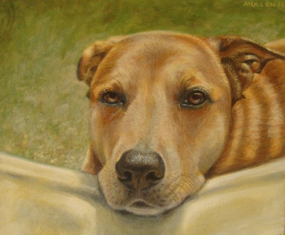 Pet portraits (SOLD) - COMMISSIONS WELCOME (deposit)