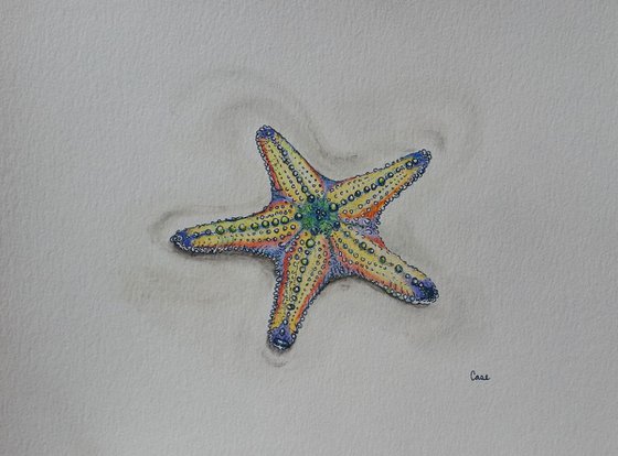 Starfish