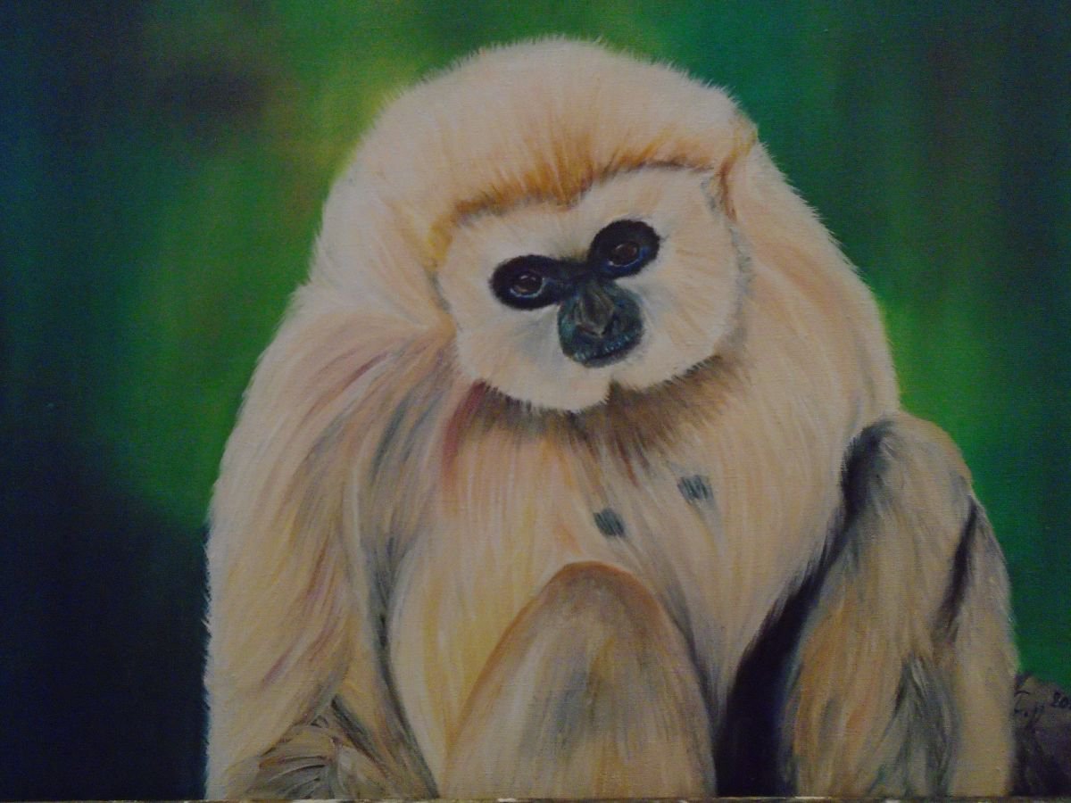 Gibbon by Timea Valsami