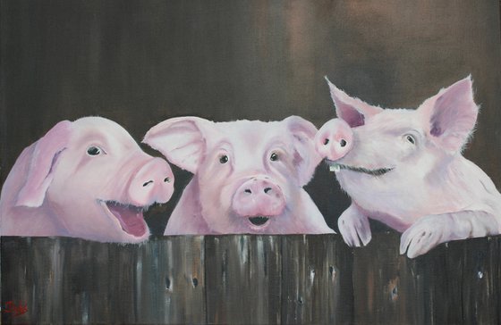 Three Little Porkers