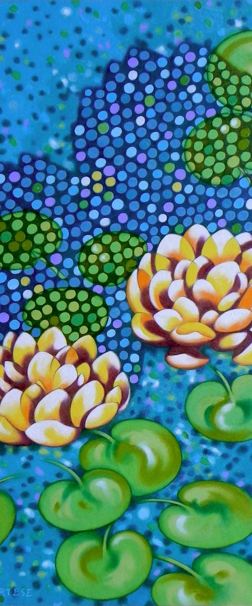 Water lilies by Federico Cortese