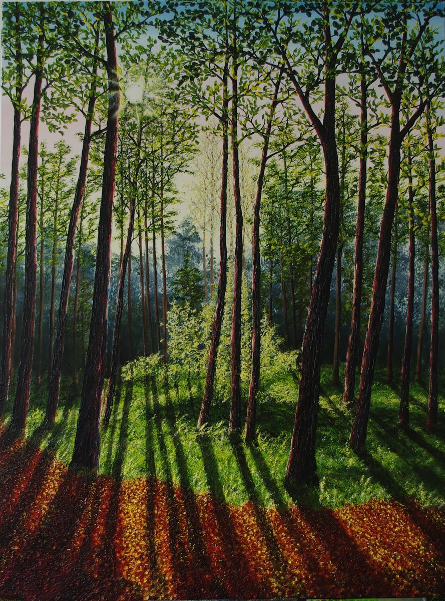 Woodland Shadows by Hazel Thomson