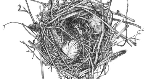 Artwork by Nataliia Kupchyk