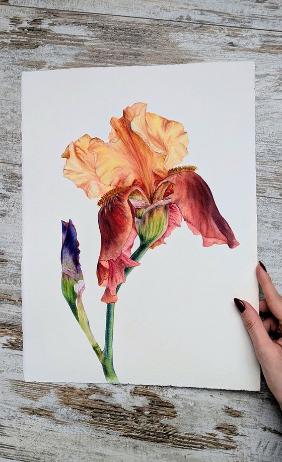 The Conversation of Buds