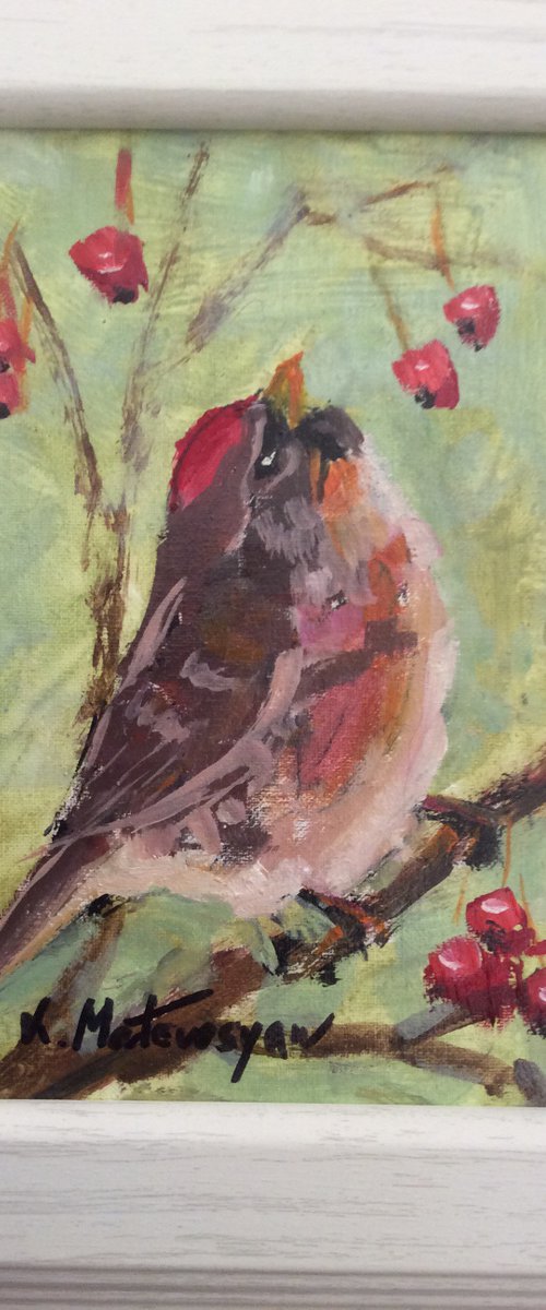 Cheerful Visitor by Lia Matevosyan Haselton