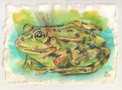 Green Frog by Ilona Borodulina