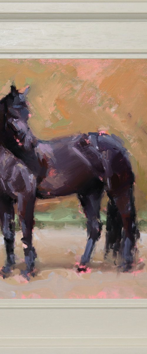 Black Horse Study by Jade Eynon