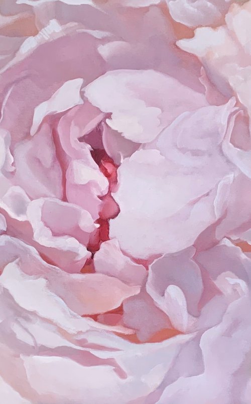 Pink peony 80x120 by Ilze  Ērgle - Vanaga