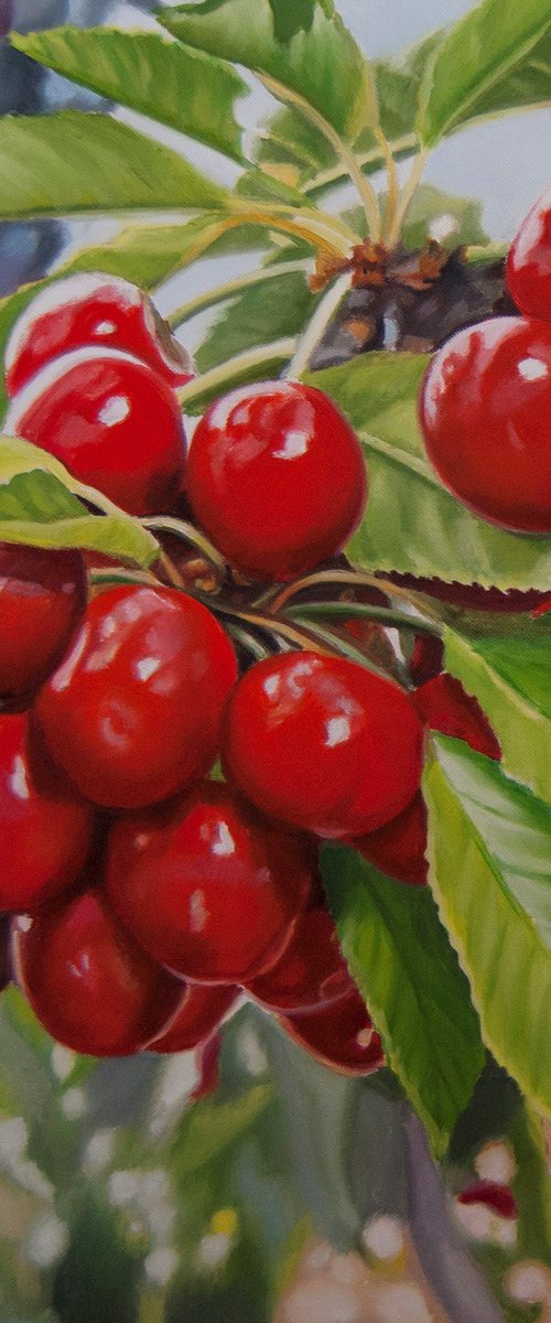 Cherries II by Simona Tsvetkova