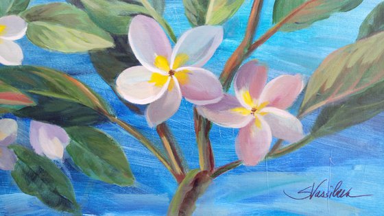 Oceanside Plumeria