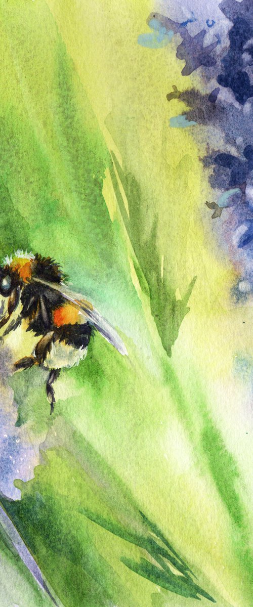 Bumblebee on lavender by Anjana Cawdell