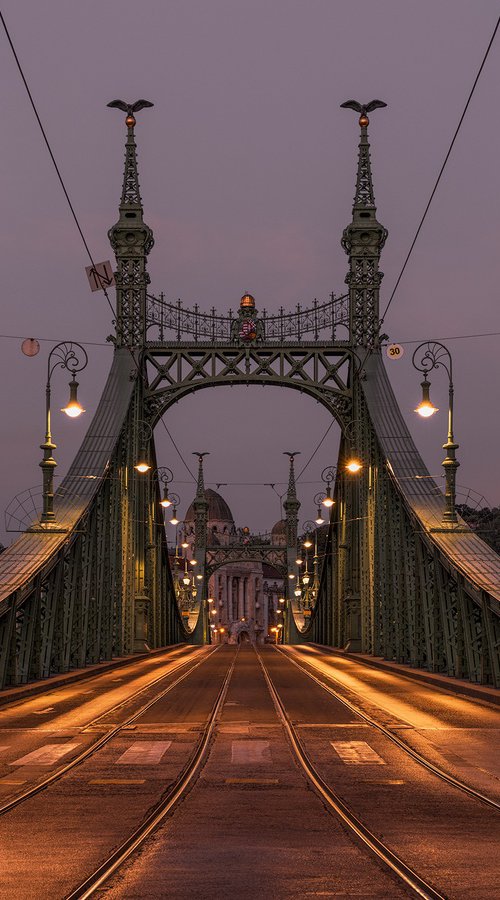 Liberty Bridge Budapest by Nick Psomiadis