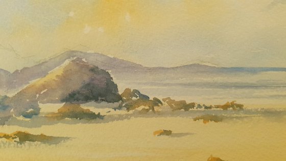Soft Summer's Day at the Beach