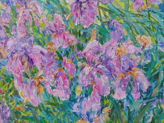 Irises in the light of the wind.