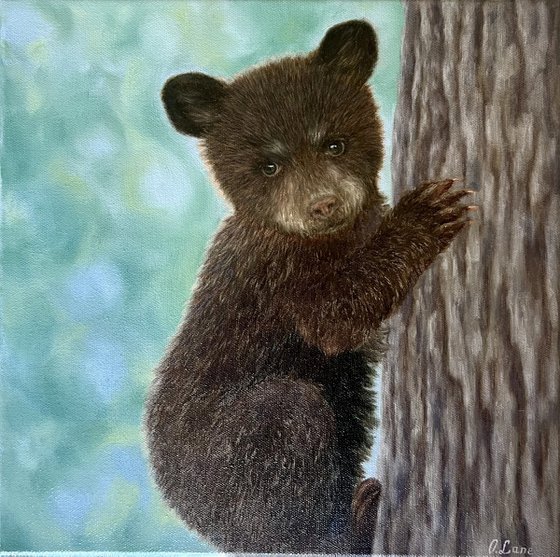Bear Cub