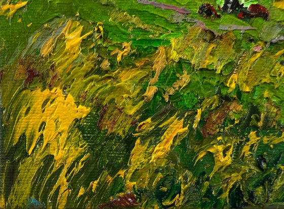 Walk through the meadows