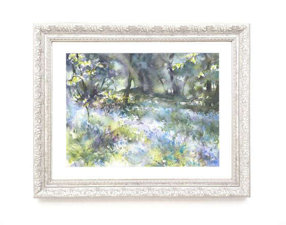 "Bluebells of Sidmouth woods -2"