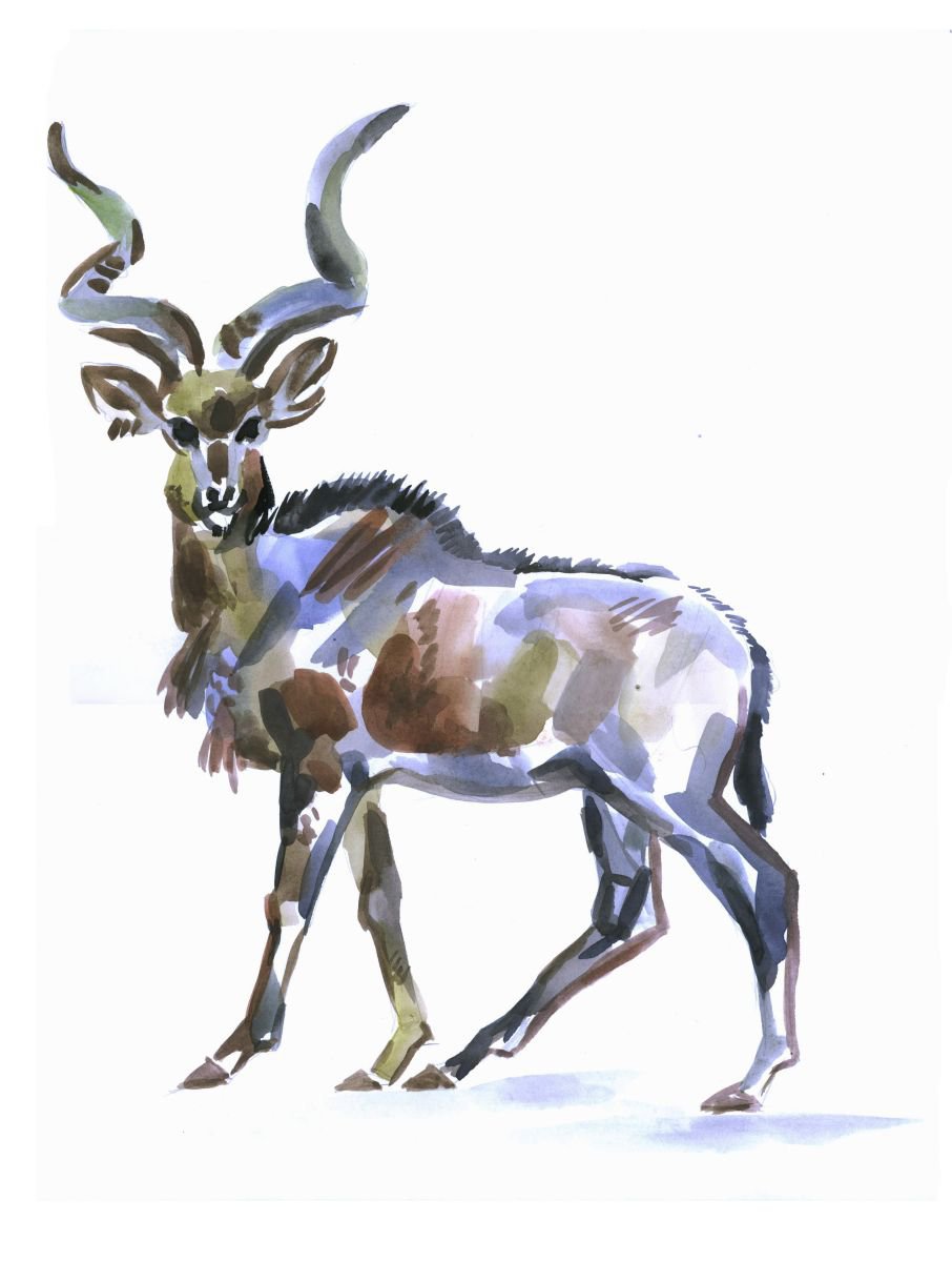 Photorealistic Animal Drawing By Kateryna Bortsova, 11 X 17", Roe Deer, Original Artwork