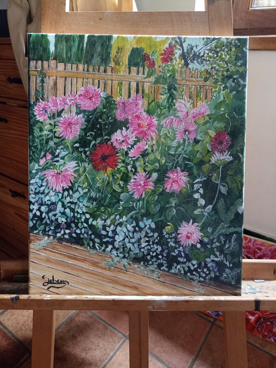 Dahlias flowers 2
