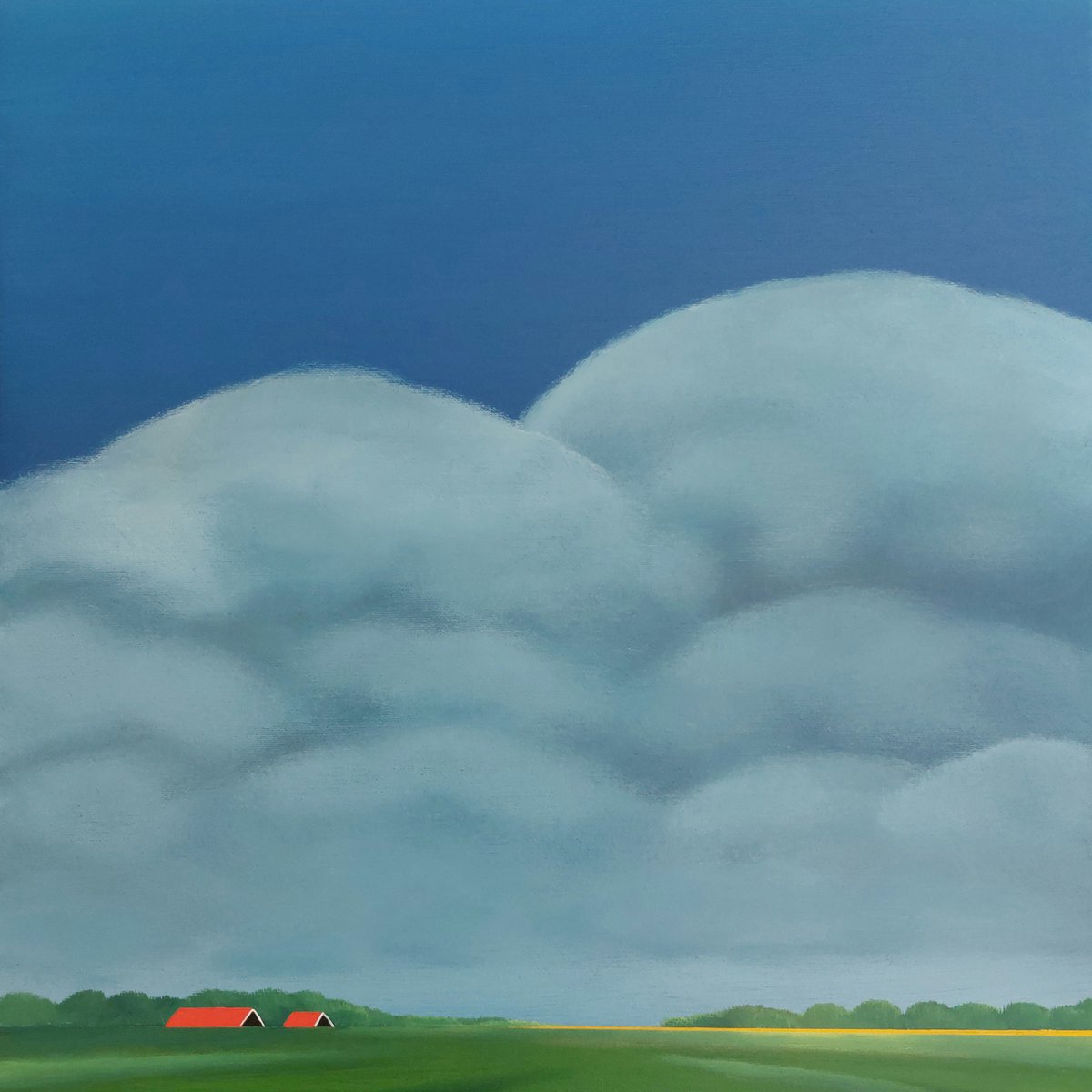 A beautiful cloudy day. by Nelly van Nieuwenhuijzen