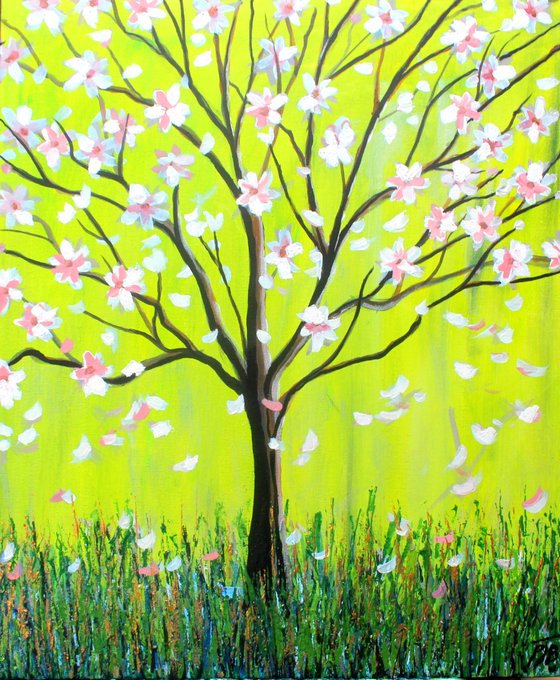Magnolia Spring