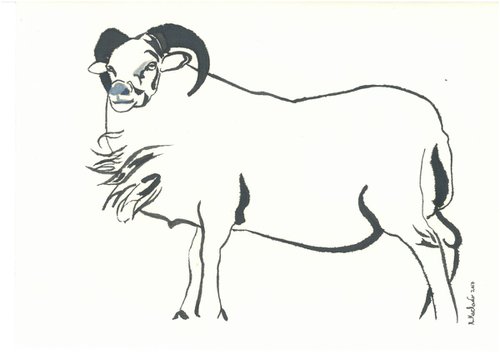 Ram I Animal Drawing by Ricardo Machado