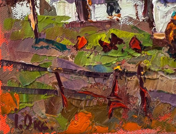 Pink sunset over the village