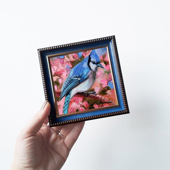 Original Blue jay bird miniatures painting oil, Blue bird painting 4x4 in frame, Nursery wall art pink birdie