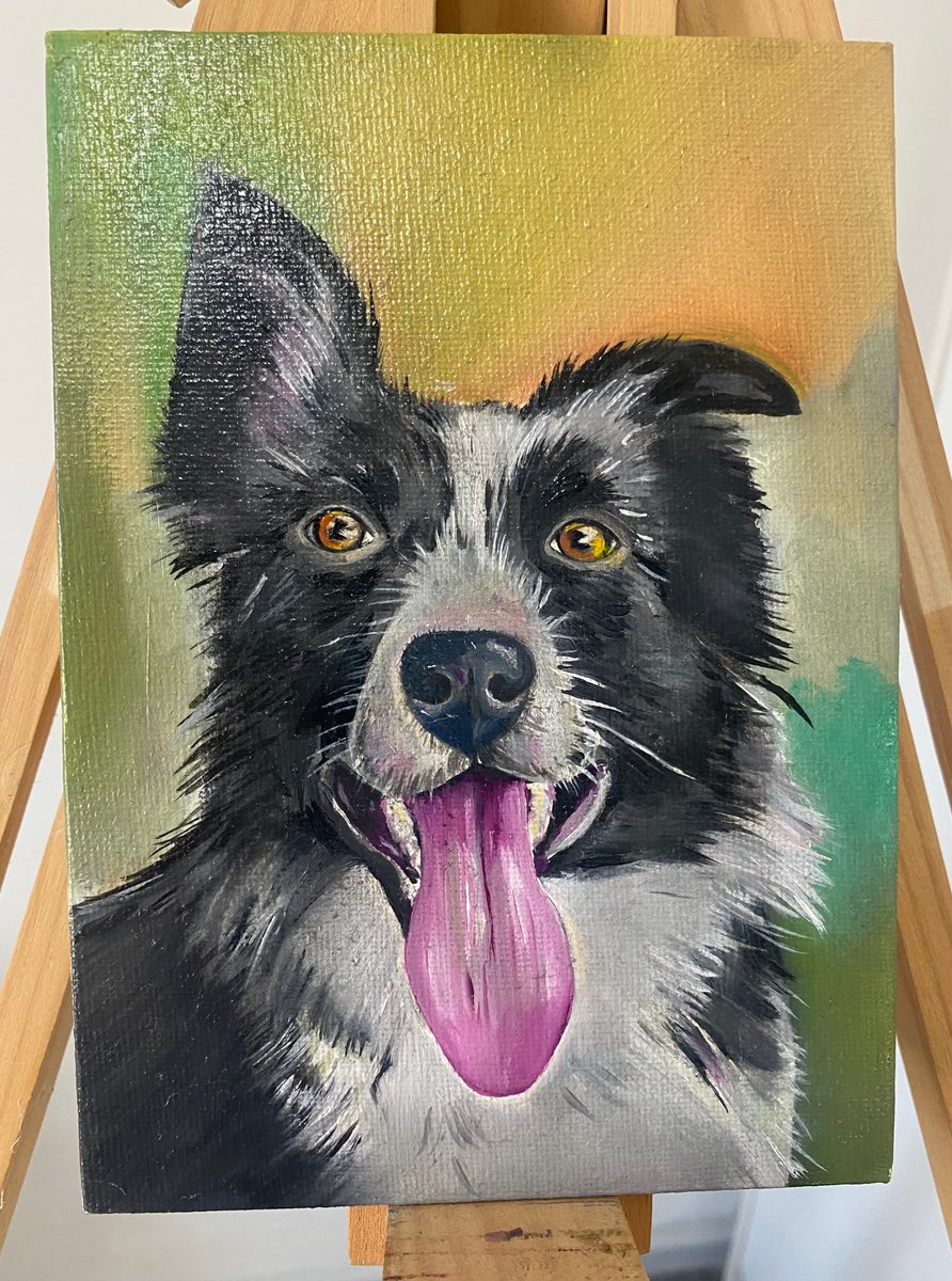 Collie dog oil painting by Bethany Taylor