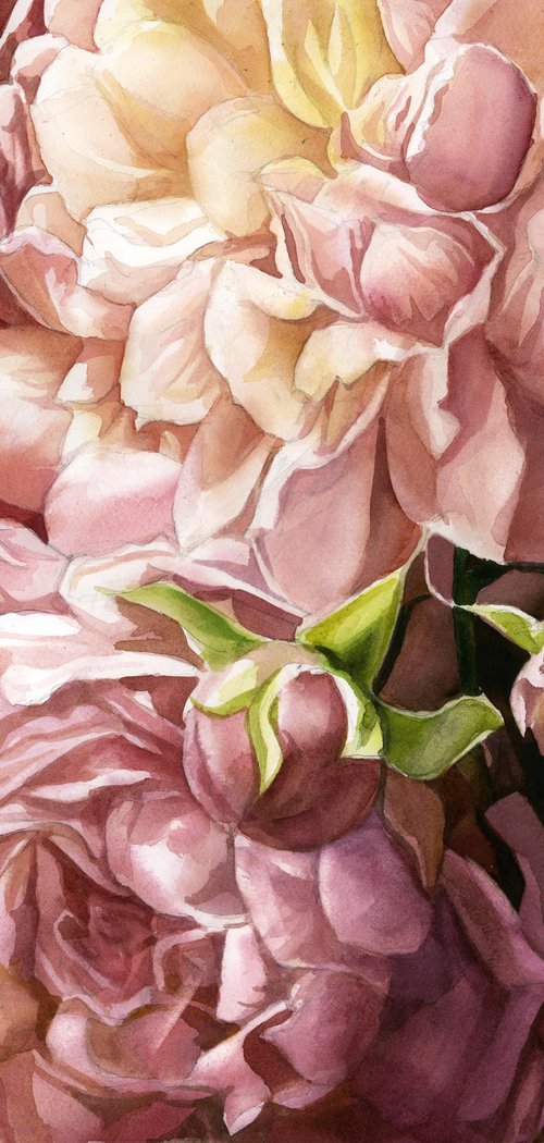 Romantic roses watercolor by Alfred  Ng