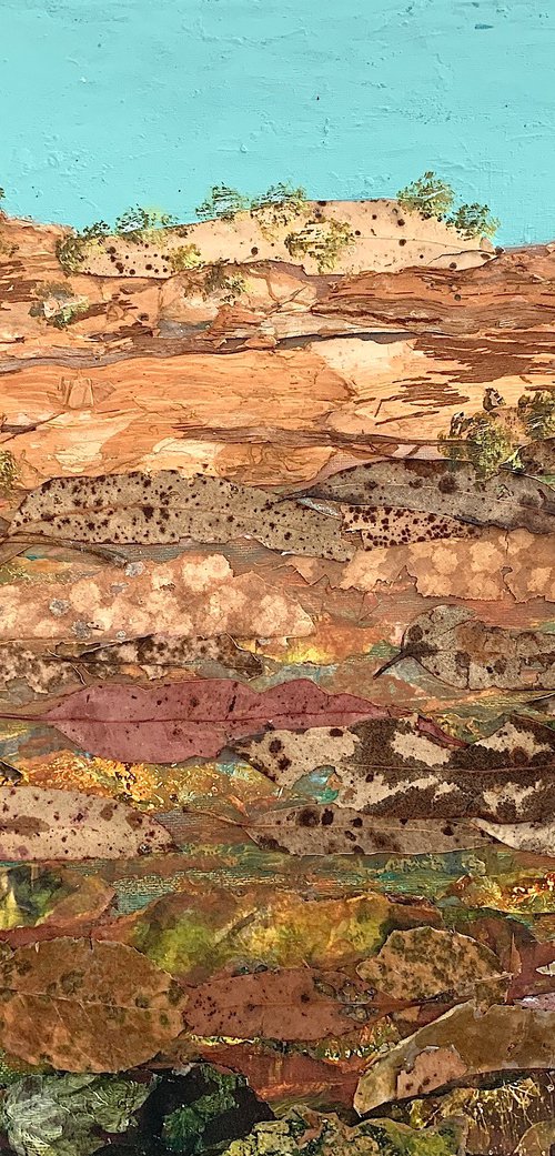 Outback, Australia by Suzsi Corio
