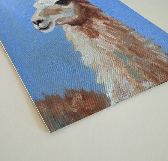 Llama Alpaca