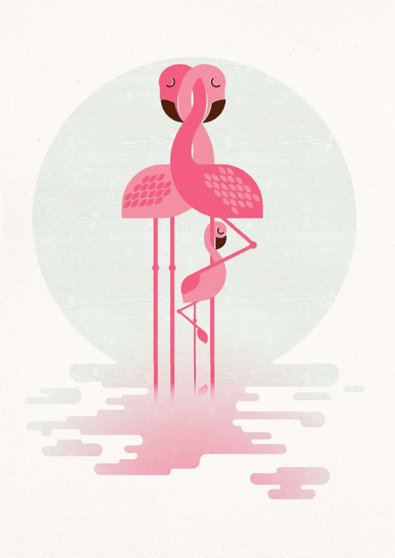 Flamingo and Chick