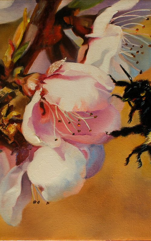 "Furry Bumblebee"  spring apple tree flower bumblbee liGHt original painting  GIFT (2016) by Anna Bessonova (Kotelnik)