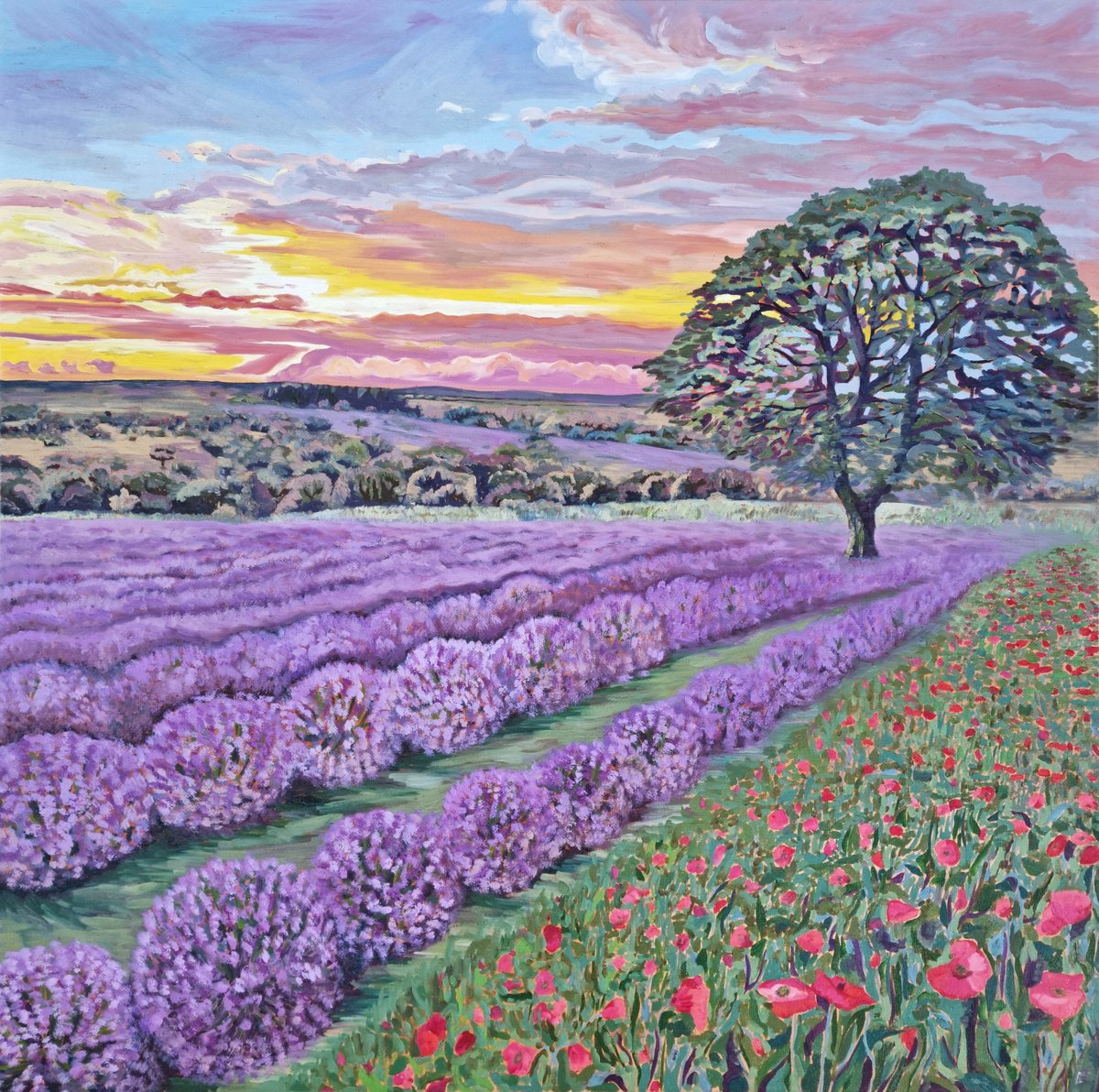 Lavender Field by Zulfiya Mukhamadeyeva