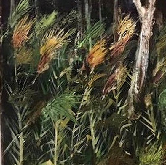 Eucalyptus Tree and Reeds