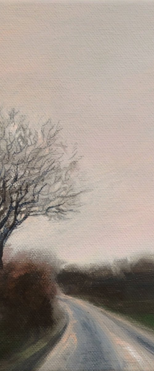 Winter Light by Theresa Shaw