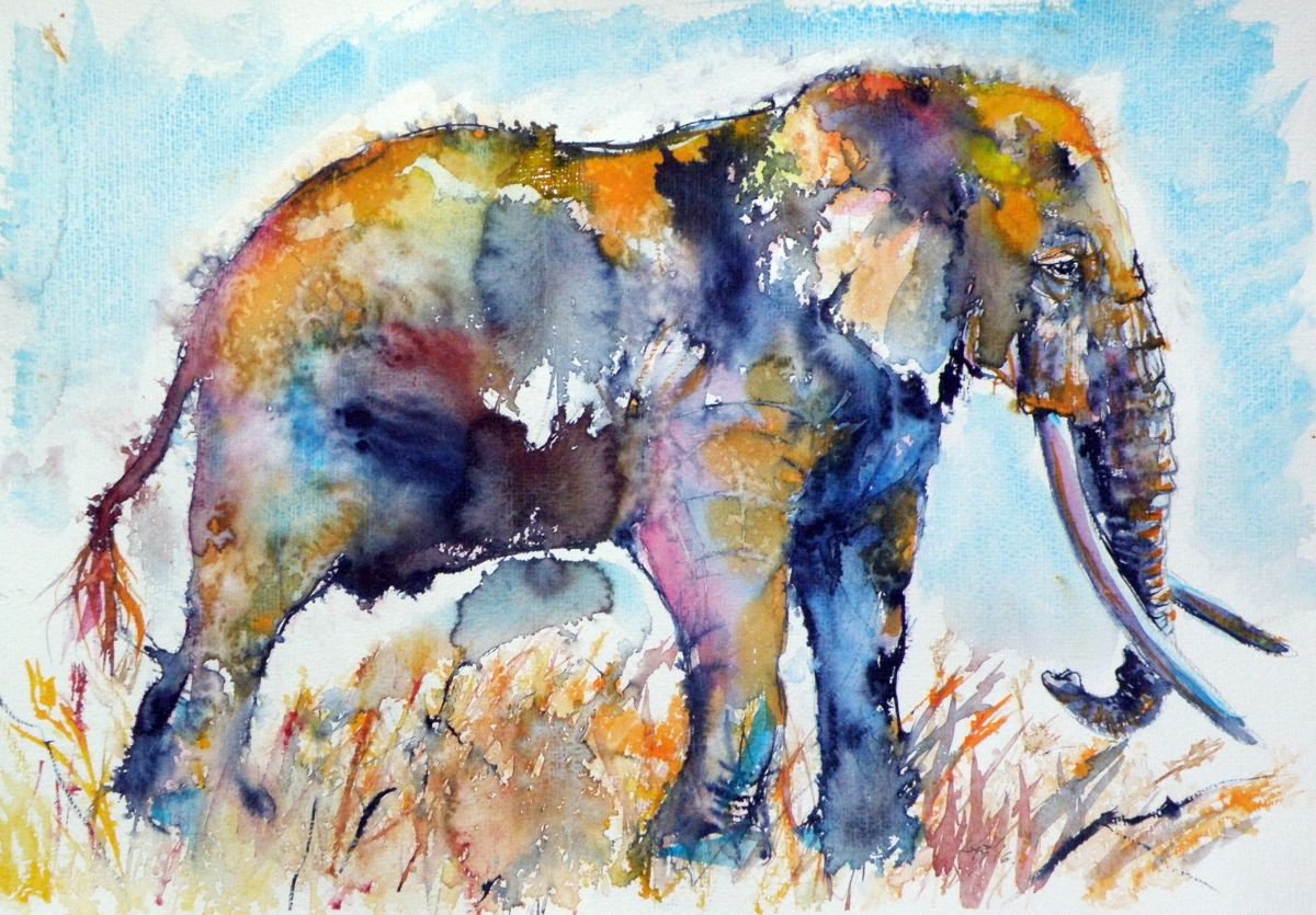 Colorful elephant II by Kovcs Anna Brigitta