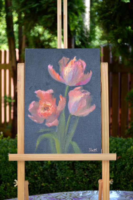Coral tulips 2