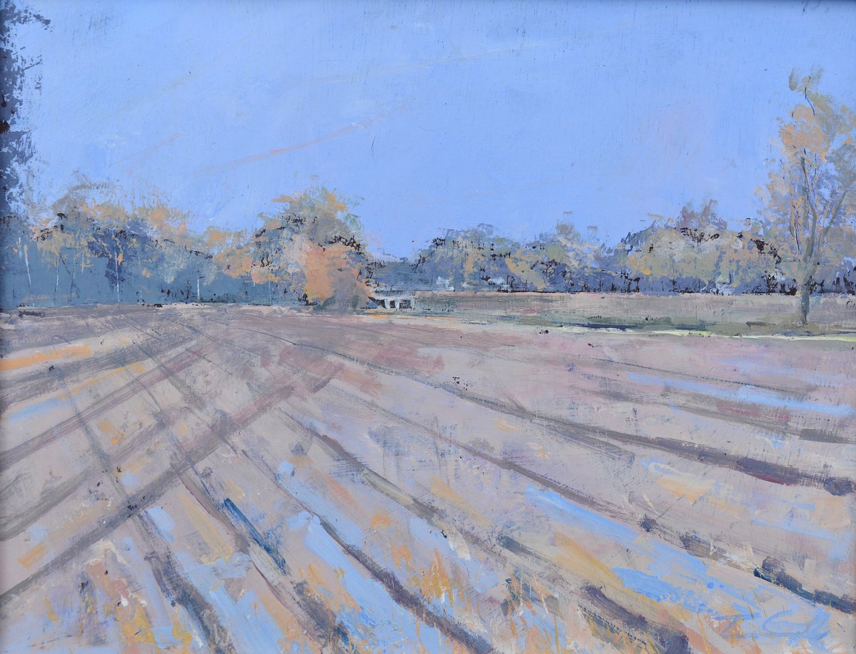  Field Near Buxton, Norfolk. By Tom Cringle, 13 X 10, Artwork For Sale On Artfinder
