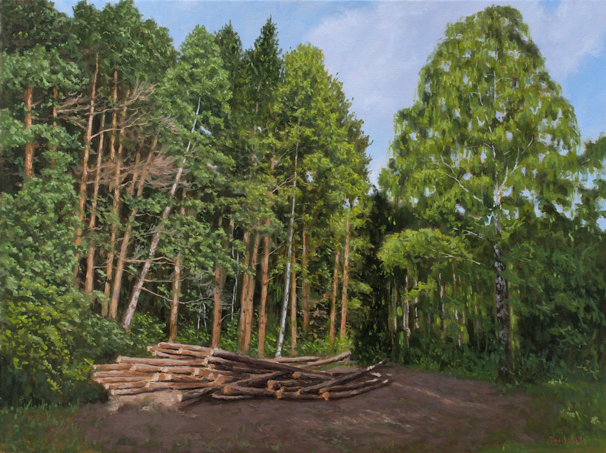 Lumberjack by Dejan Trajkovic