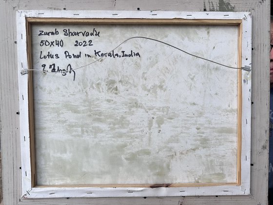 Lotus Pond in Kerala, India