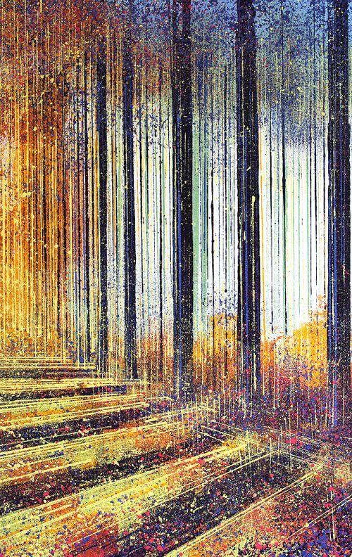 Tall Trees In Autumn by Marc Todd