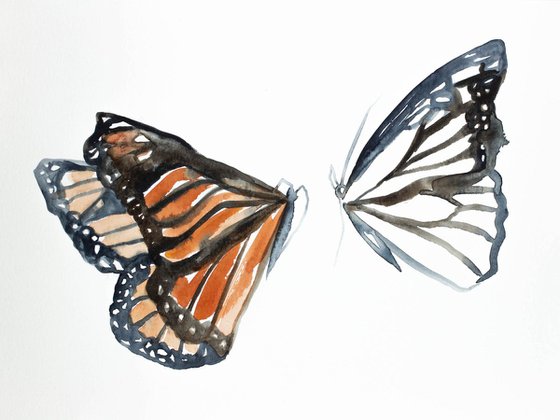 Monarch Study No. 2