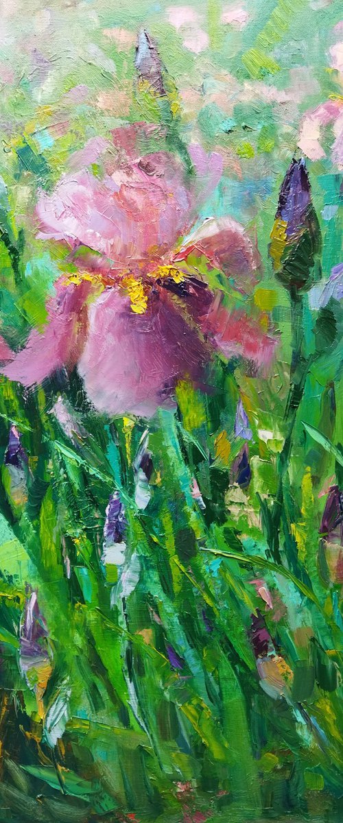 Blush Irises in Bloom by Ann Krasikova