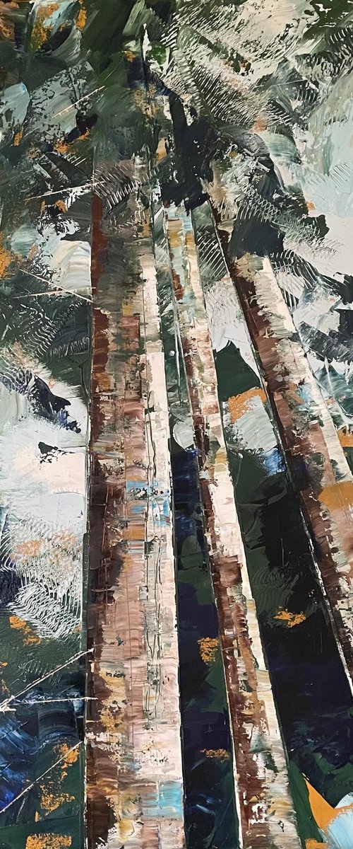 See into the Trees by Belinda Reynell